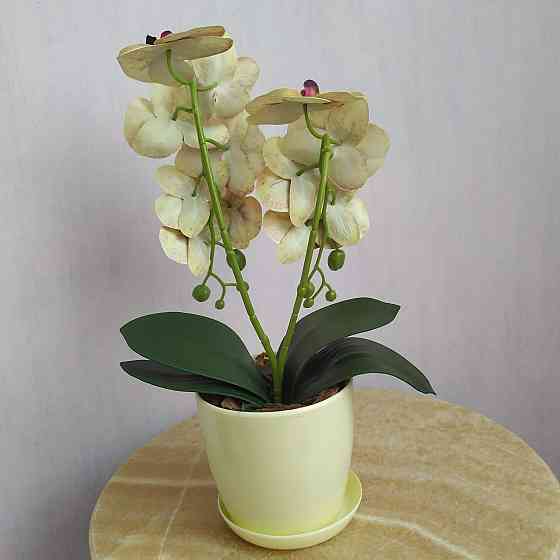 Штучна латексна міні орхідея в жовтому пластиковому кашпо на дві гілки жовто-бордова Дніпро