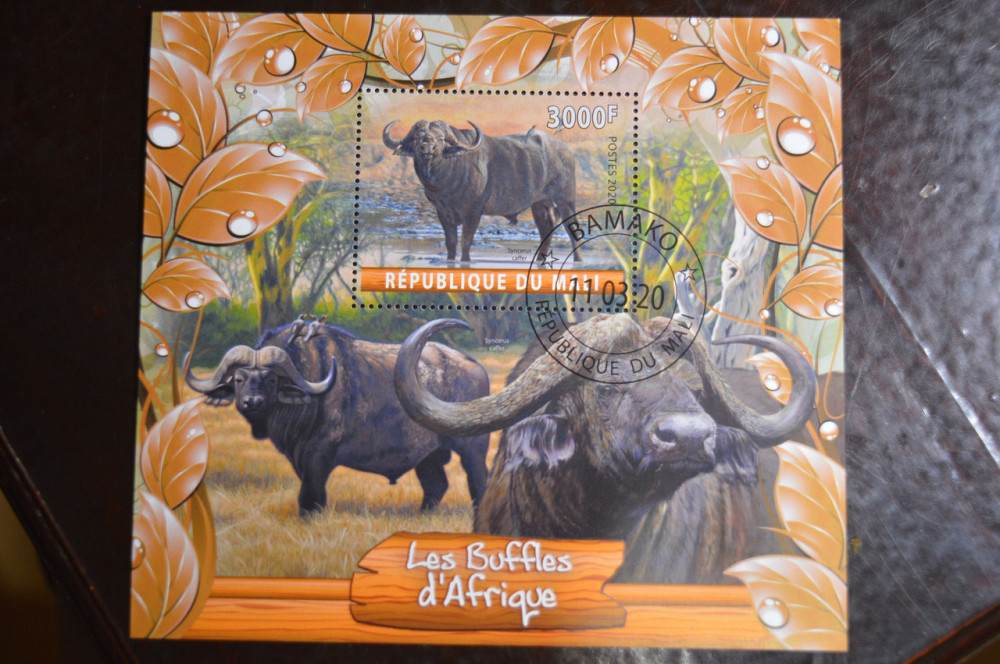 Мали. Марки. Фауна. Блок. 2020 год (В-1) Полтава - изображение 1