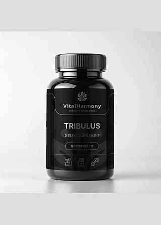 Трибулус Tribulus VitalHarmony, 90 капсул Дніпро