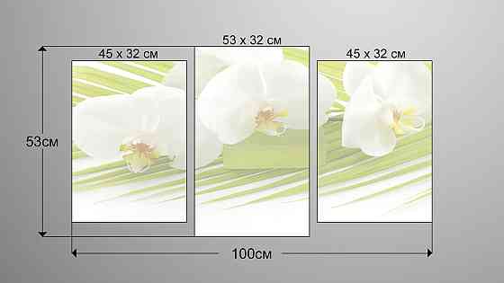 Модульная картина Белые Цветы Art-34_3 Киев