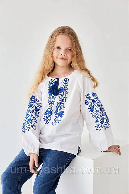 Дитяча вишиванка з синьою вишивкою Кривий Ріг - фото 1