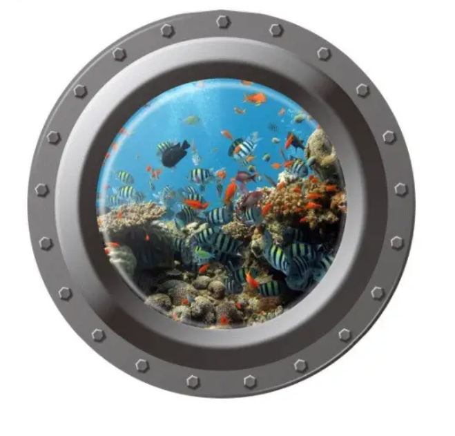 Наклейка на стену Подводный мир 43 см разноцветный Киев - изображение 1