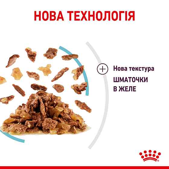 Вологий корм для дорослих котів ROYAL CANIN SENSORY FEEL JELLY шматочки у желе 85г, стимулює відчуття корму Київ
