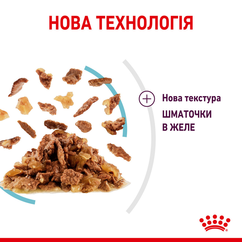 Вологий корм для дорослих котів ROYAL CANIN SENSORY FEEL JELLY шматочки у желе 85г, стимулює відчуття корму Київ - фото 5