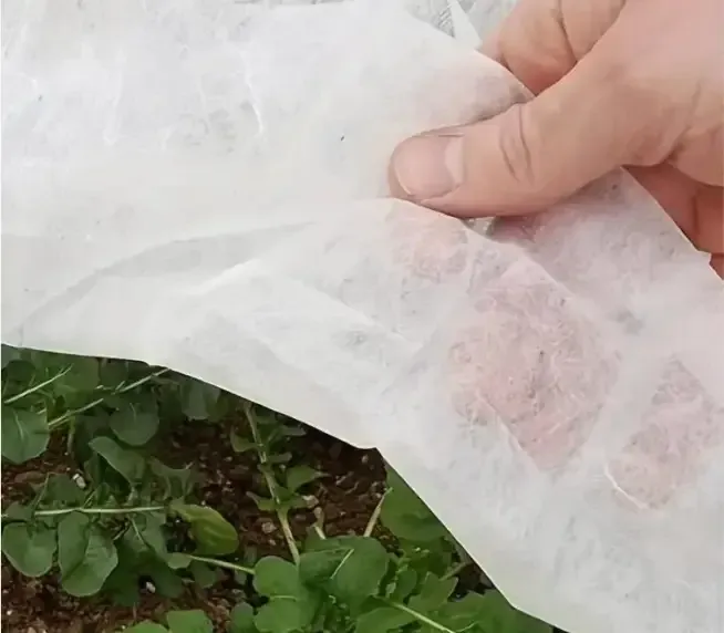 Спанбонд 17 г/м2 1,6 х 50 м "Shadow"  4% покривне агроволокно для рослин Дніпро - фото 9