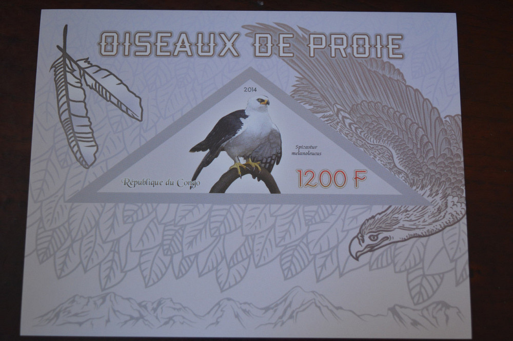 Конго. Фауна. Личности. Блок. 2014 р. (А-34) Полтава - фото 1