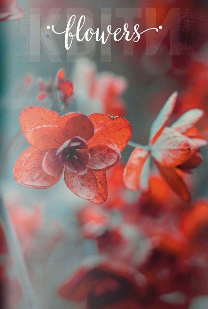 Книга канцелярська A4/48 арк."Аркуш""Червоні квіти" # офсет, м'яка обкл., 1В2427, шт Київ - фото 1