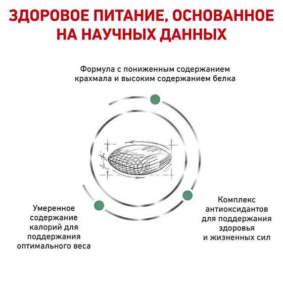 Royal Canin Diabetic (Рояв Канін Діабетик) сухий корм для собак при цукровому діабеті 1.5 кг. Запоріжжя