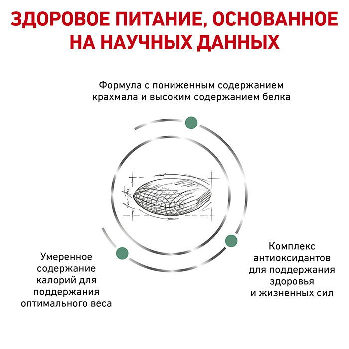 Royal Canin Diabetic (Рояв Канін Діабетик) сухий корм для собак при цукровому діабеті 1.5 кг. Запоріжжя - фото 3