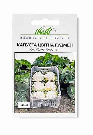 Семена капусты цветной Гудмен F1 (20 семян), Bejo Zaden Винница