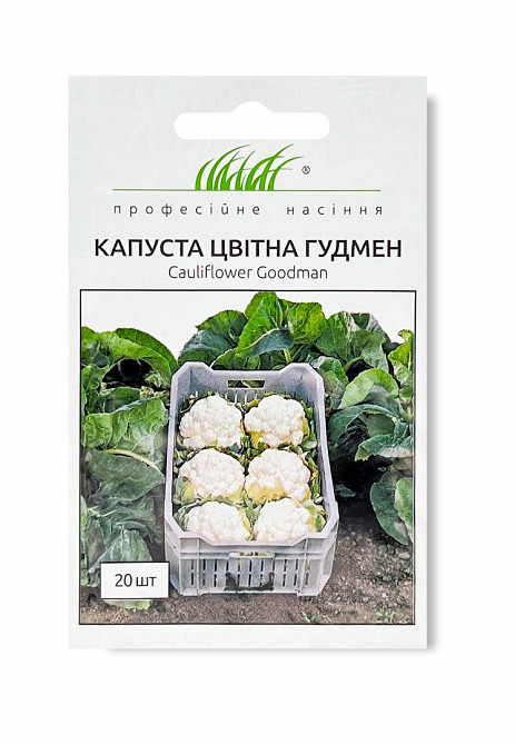 Нісіння капусти цвітної Гудмен F1 (20 насінин), Bejo Zaden Вінниця - фото 1
