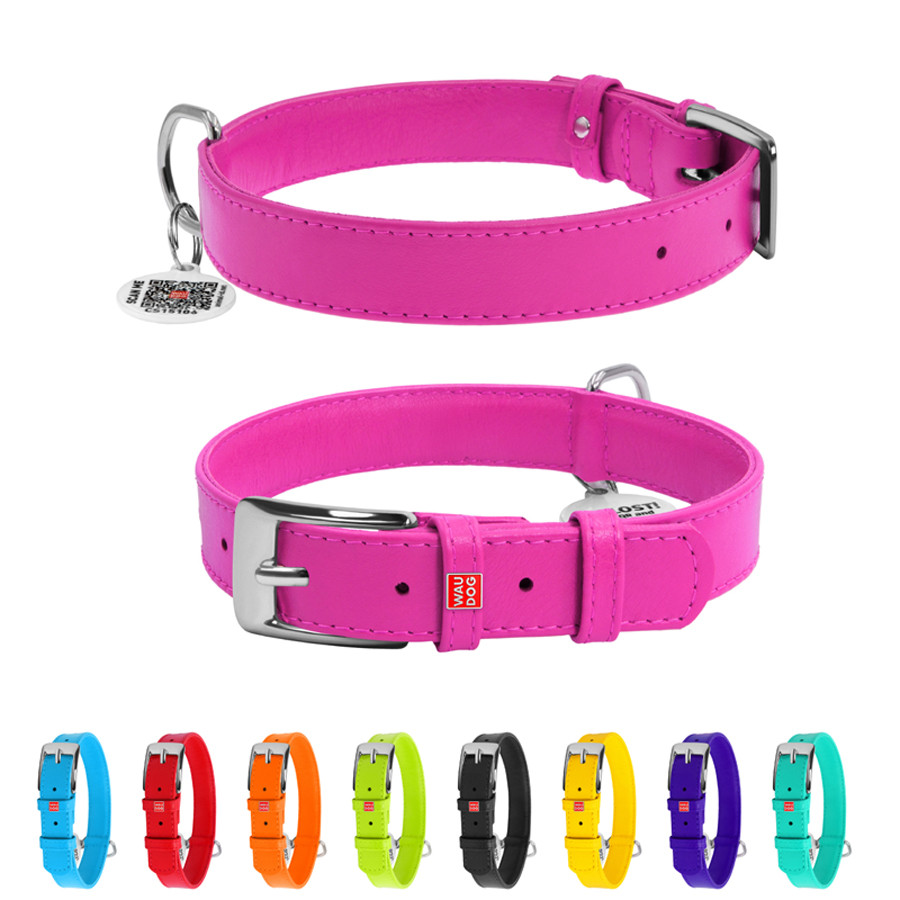 Нашийник для собак шкіряний WAUDOG Glamour з QR паспортом, без прикрас, L, Ш 25 мм, Дов 38-49 с Коломия - фото 1