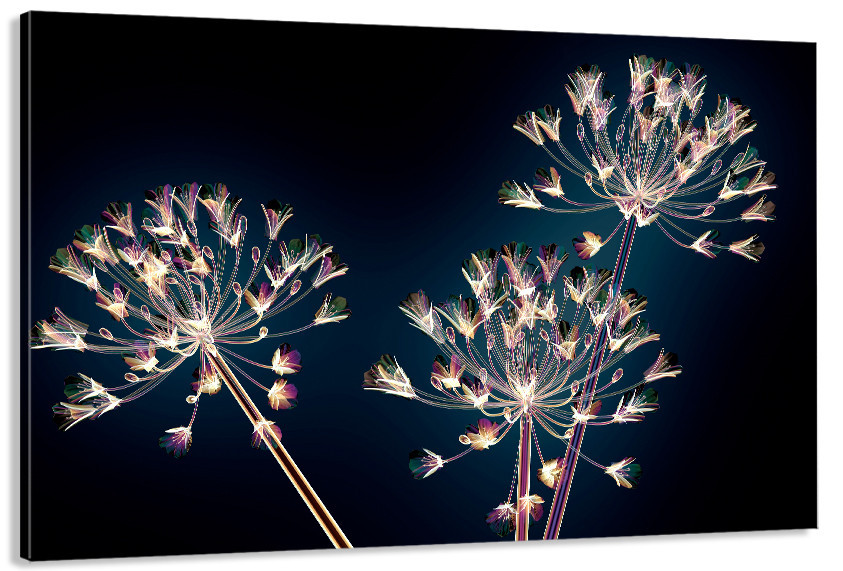 Картина полотно у вітальню / спальню   Квіти на чорному фоні   MLP_372 ( 60х30см ) 80х160см Київ - фото 1