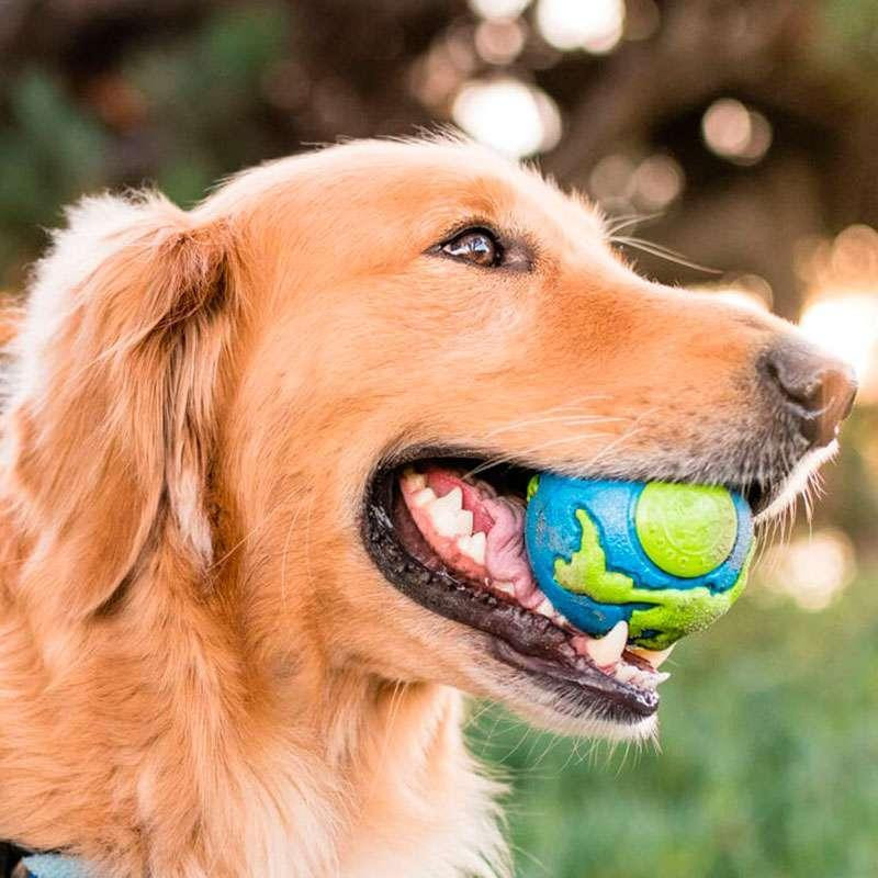 Суперпрочная игрушка мячик для собак Planet Dog Orbee Ball (Планет Дог Орби Болл) Средний - 7 см. Запорожье - изображение 2
