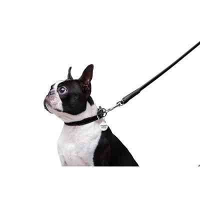 Поводок для собак WAUDOG Glamour круглый XS d 8 мм Д 122 см черный (33771) Винница