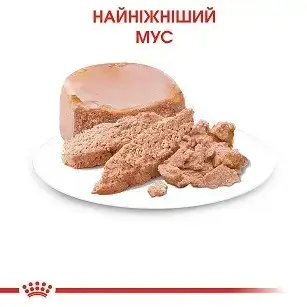 Royal Canin Gastrointestinal Kitten (Роял Канин Гастроинтестинал Киттен) мусс для котят при расстройствах 0.195 кг. х 12 шт Запорожье