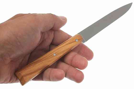 Кухонный Набор Ножей для стейков 4 предмета Opinel (Опинель) 