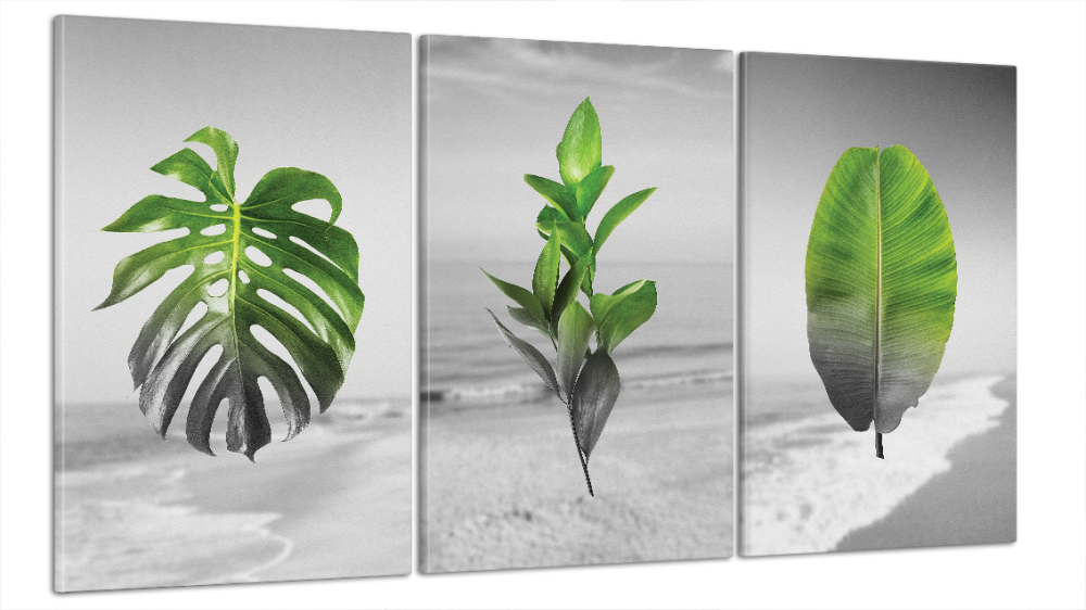 Модульна картина Природа Листя Art-2_B3 Київ - фото 1