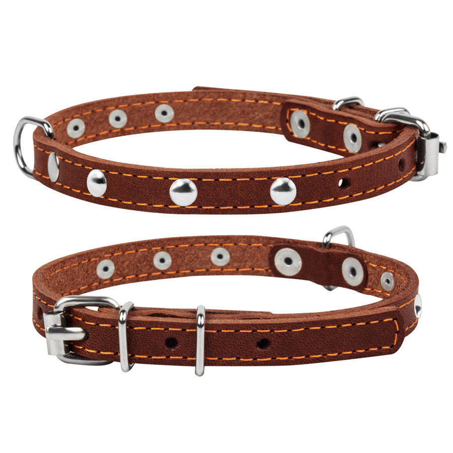 Нашийник "CoLLaR одинарний з прикрасами (ширина 14мм, довжина 27-35см) коричневий Коломыя - изображение 1