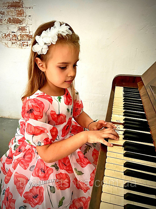 Маки святкова дитяча сукня з маками Кривой Рог - изображение 2