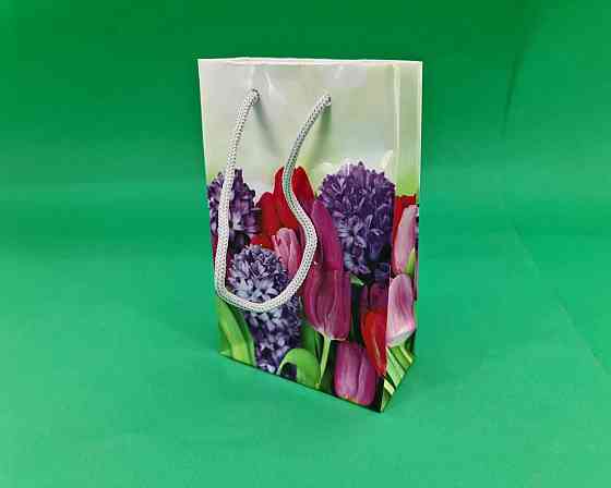 Пакет бумажный подарочный малый 11/18/5(арт М089) (12 шт) Харьков