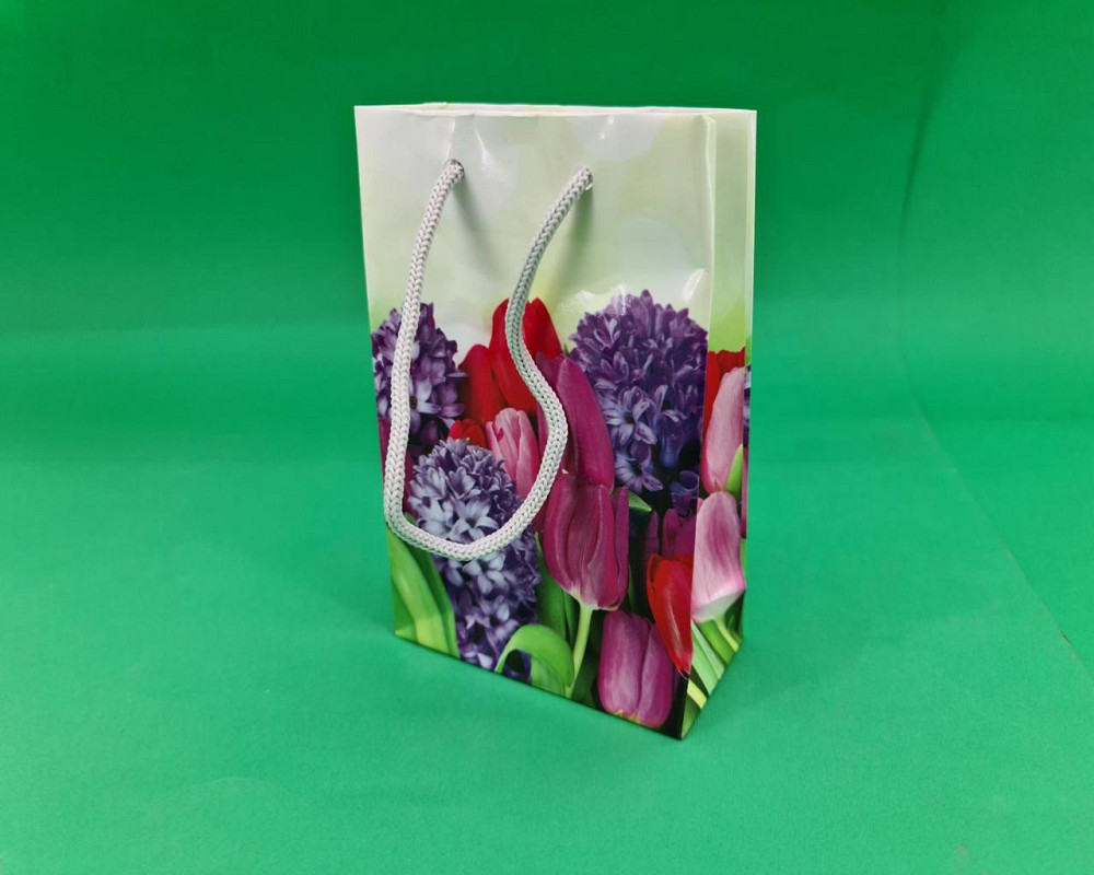 Пакет бумажный подарочный малый 11/18/5(арт М089) (12 шт) Харьков - изображение 1