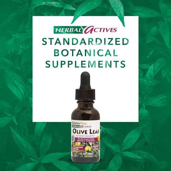 Листя оливи без спирту Nature's Plus Herbal Actives, Olive Leaf, Alcohol Free 30 ml Луцьк