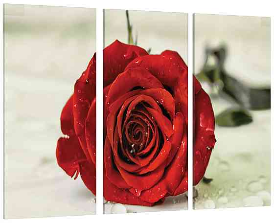 Модульна картина Троянда Art-27_XXL Київ