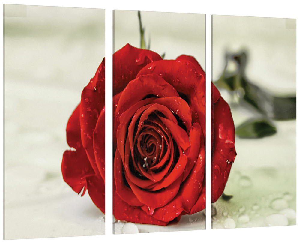 Модульна картина Троянда Art-27_XXL Київ - фото 1