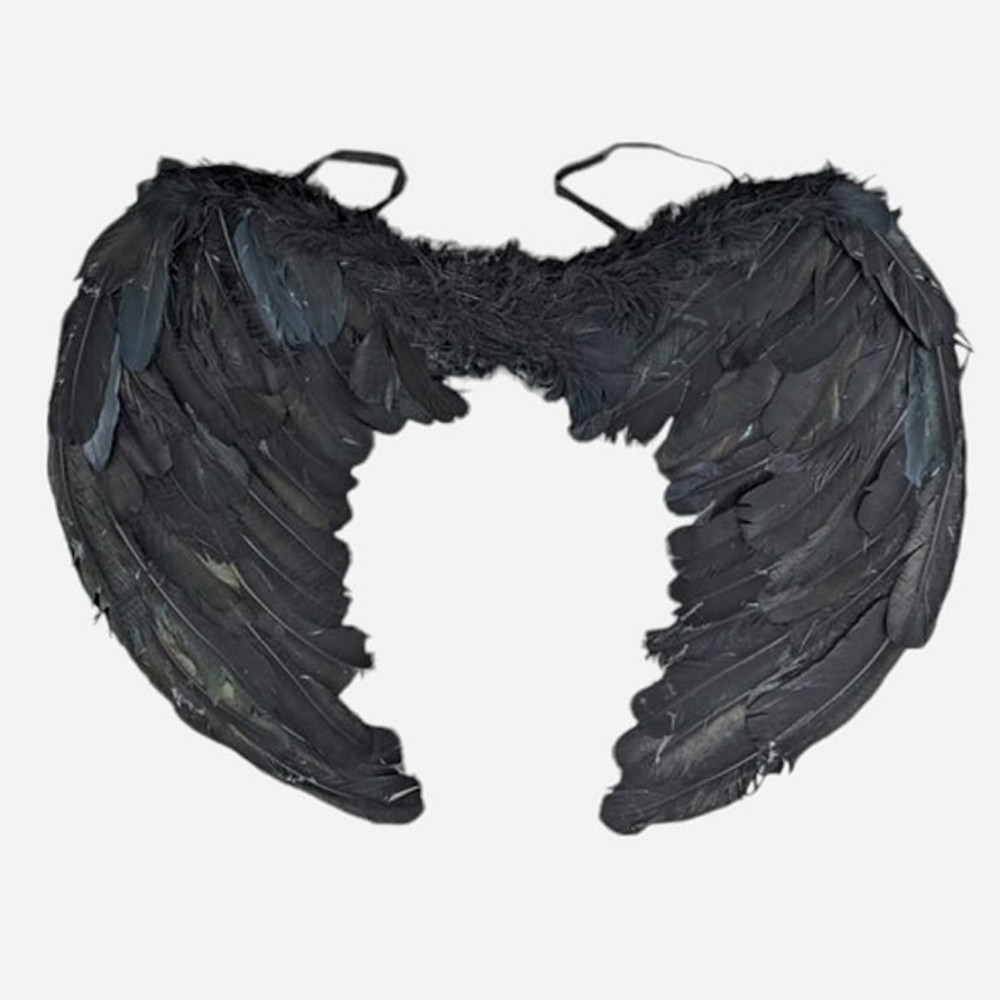 Крылья Ангела 45х30см,MA26-189,Черные SBR Киев - изображение 3