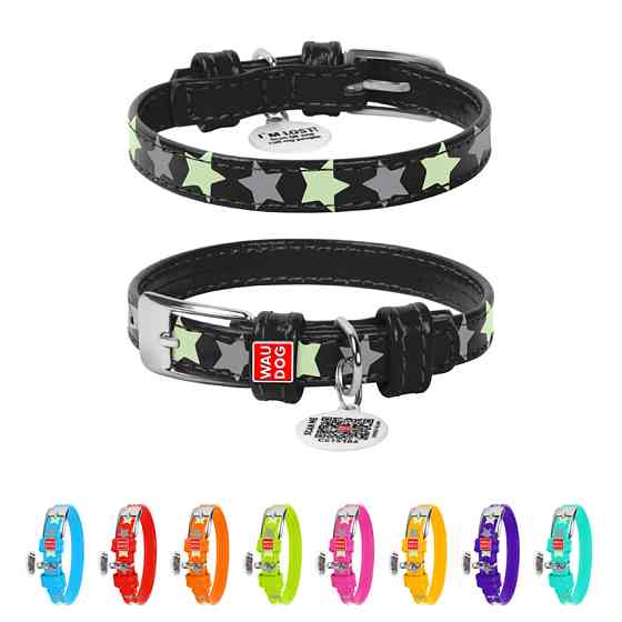 Нашийник для собак шкіряний WAUDOG Glamour з QR паспортом, візерунок "Зірочка", світлонакопичув Коломыя