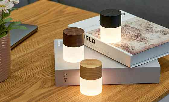 Gingko G026WT Винница