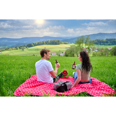 Вентилятор Einhell GC-CF 18/110 Li-Solo (3408061) Вінниця - фото 8