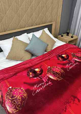 Плед-покрывало 200х230 см с рождественским принтом Разноцветный (87-323) Киев