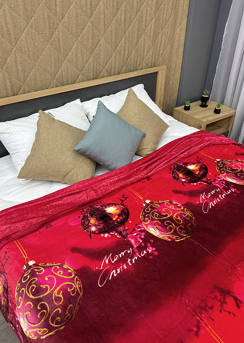 Плед-покрывало 200х230 см с рождественским принтом Разноцветный (87-323) Киев - изображение 2