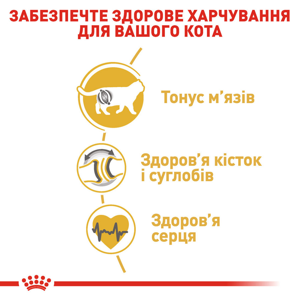 Корм для дорослих котів ROYAL CANIN BRITISH SHORTHAIR ADULT 10.0 кг Київ - фото 5