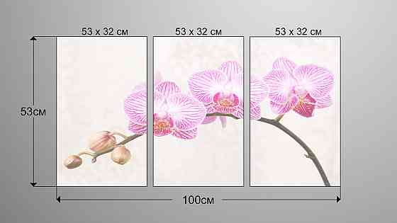 Модульна картина Квіти Орхідея Аrt-138_3А Київ