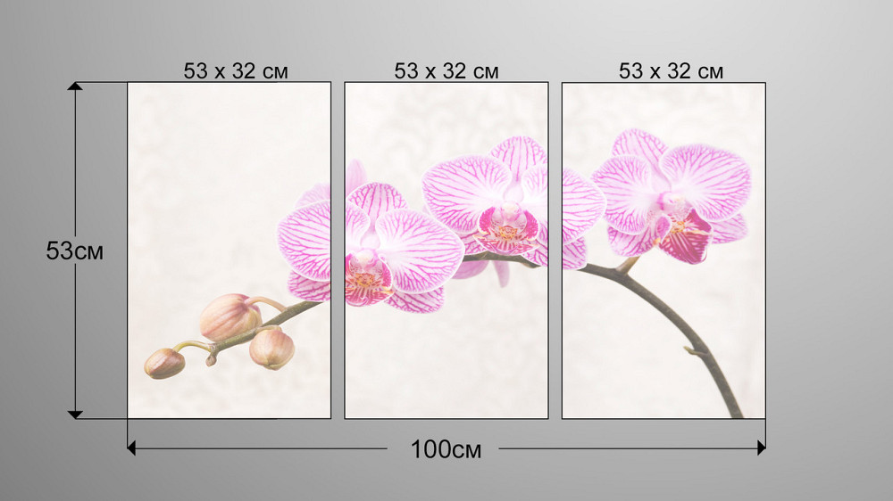 Модульна картина Квіти Орхідея Аrt-138_3А Київ - фото 3