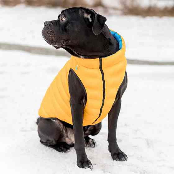 Двостороння курточка AiryVest для собак , "Colors of freedom", розмір L 55 Коломыя