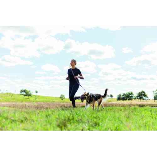 Шлей Trixie Премиум трекинговый M–L 62–74 см х 25 мм черный-графит Киев