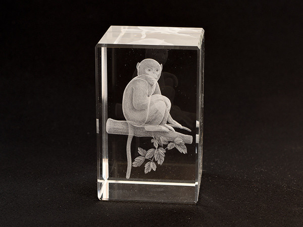 Фигурка Обезьяна голограмма в хрустале Киев - изображение 1