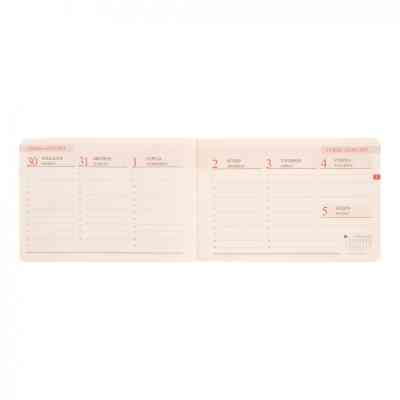 Тижневик Leo planner датований 2025 Apiro 10х15 см 128 сторінок (252571) Вінниця