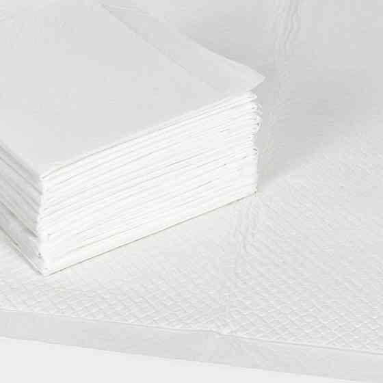 Гігієнічні пелюшки для собак "SaniPet" 60х60 см (15 шт) "Природа" Вінниця