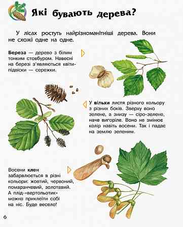 Детская энциклопедия про лес 614016 для дошкольников Винница
