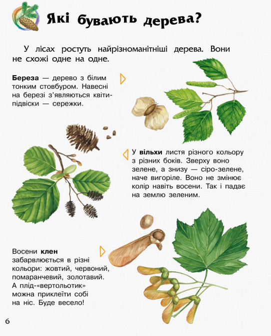 Детская энциклопедия про лес 614016 для дошкольников Винница - изображение 3