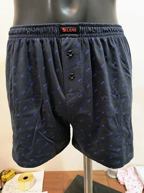 Труси чоловічі сімейні 100% бавовна Lans 01/044 XL Київ - фото 1
