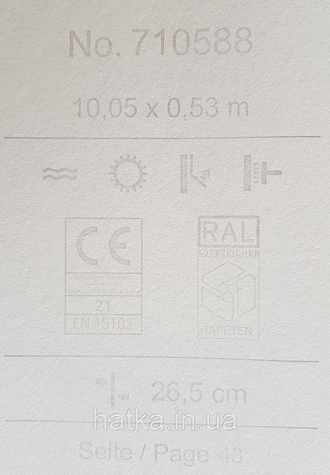 Шпалери флізелінові еко Rasch Sophia 0.53х10 рослинний принт квіти листя білі сірі рожеві на світло-сірому Київ - фото 5