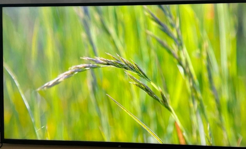 Телевізор JTC 49” 4K UHD з T2 Харків - фото 7