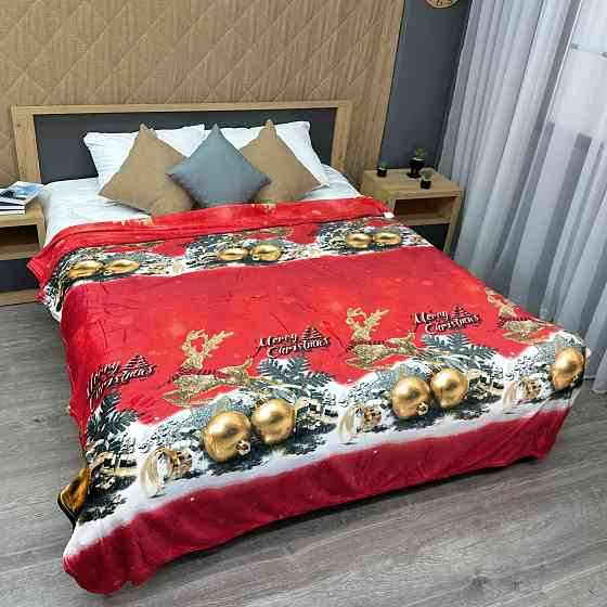 Плед-покрывало 200х230 см с рождественским принтом Разноцветный (87-325) Киев