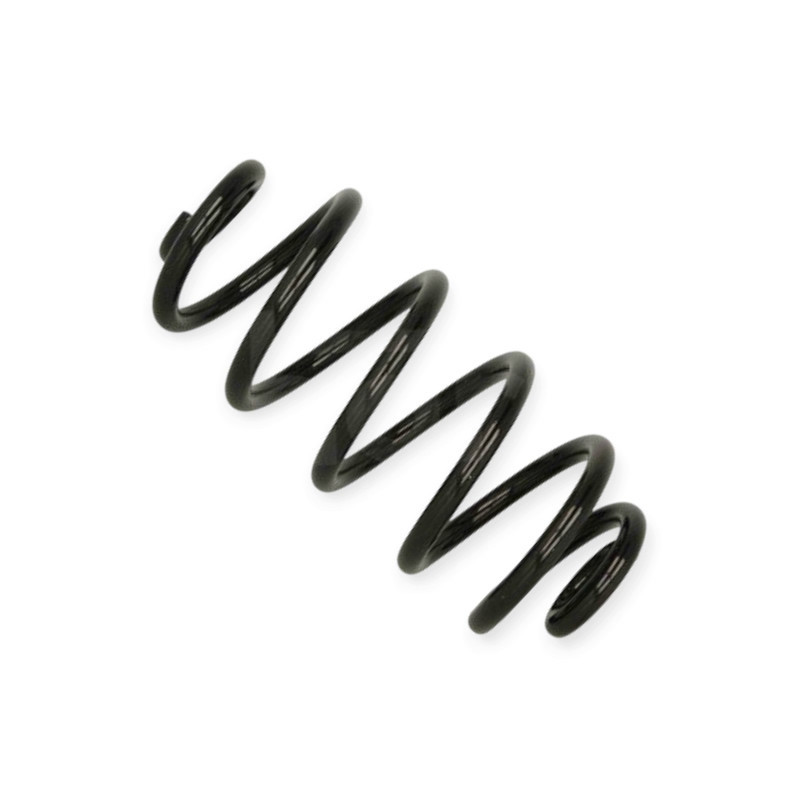 Пружина Audi A4 1.8T (00-07) задняя Мукачево - изображение 1